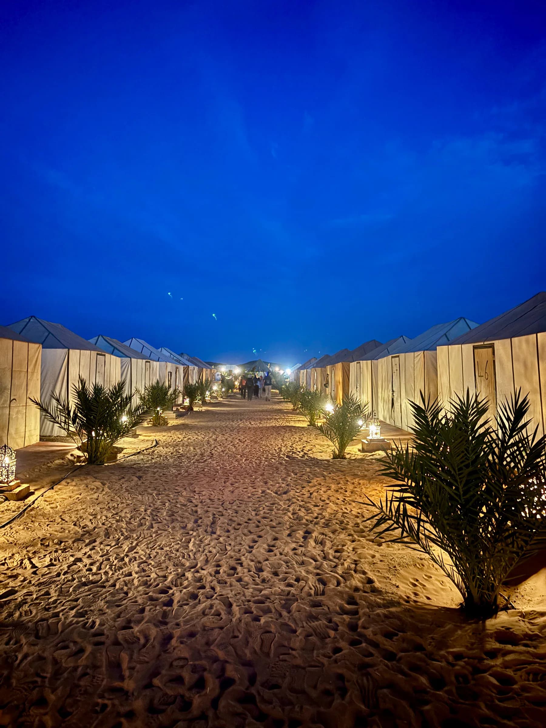 Desert Camp Walkway zur blauen Stunde