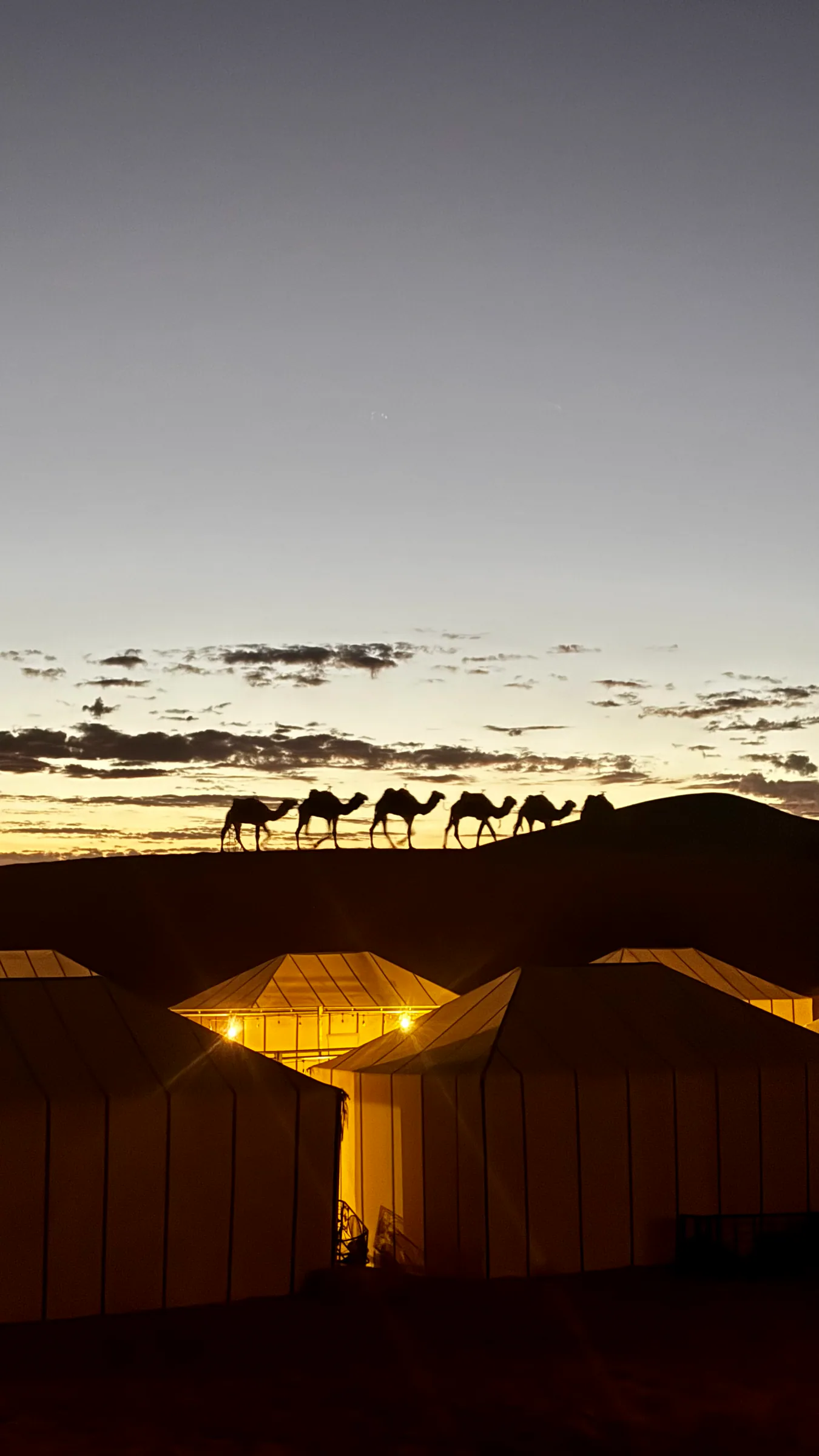 Camel and tents at a Sahara camp near Merzouga at dusk