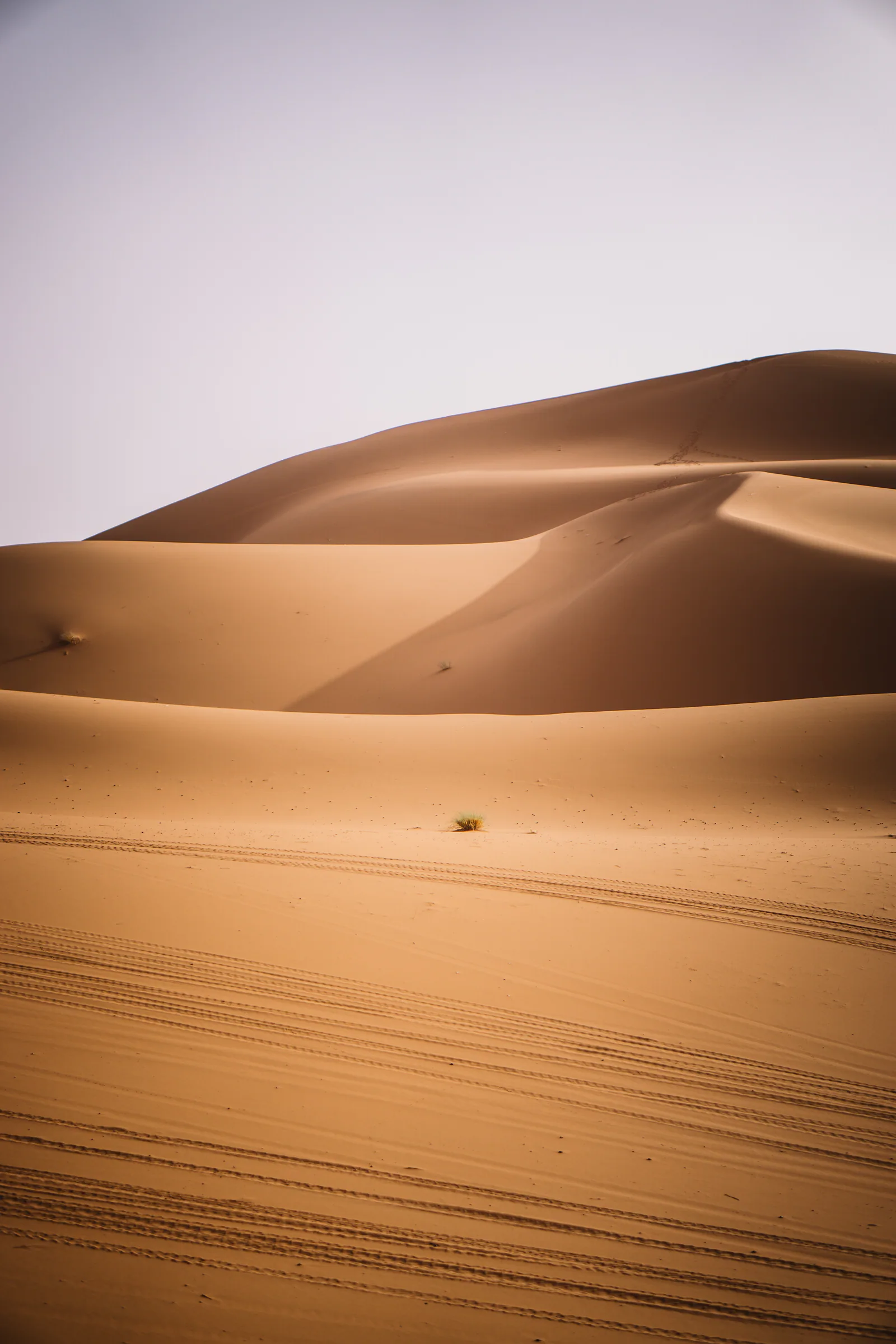 Wind-shaped patterns across Sahara dunes