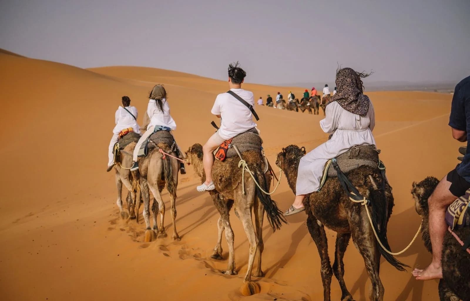 Merzouga dunes and desert scenery on day two