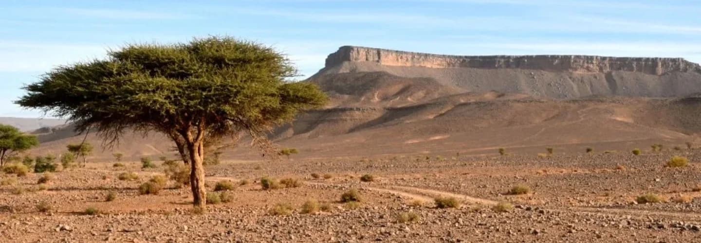 Road and landscape on the return from Merzouga to Marrakech