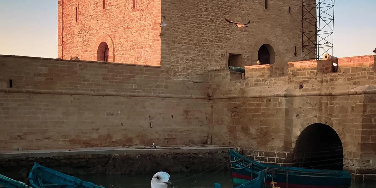 Essaouira day trip gallery photograph 2