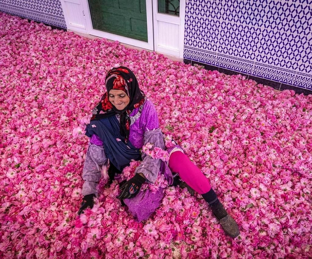 Roses Valley - Morocco