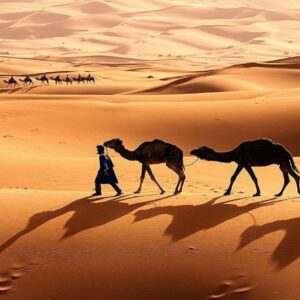 Quick Morocco| Free Cost Estimator | Authentic Sahara Desert | 5 Days Tour From Marrakech