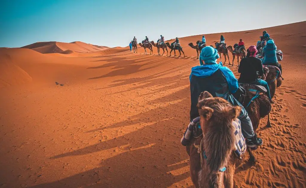 Moroccan Desert Camel Ride